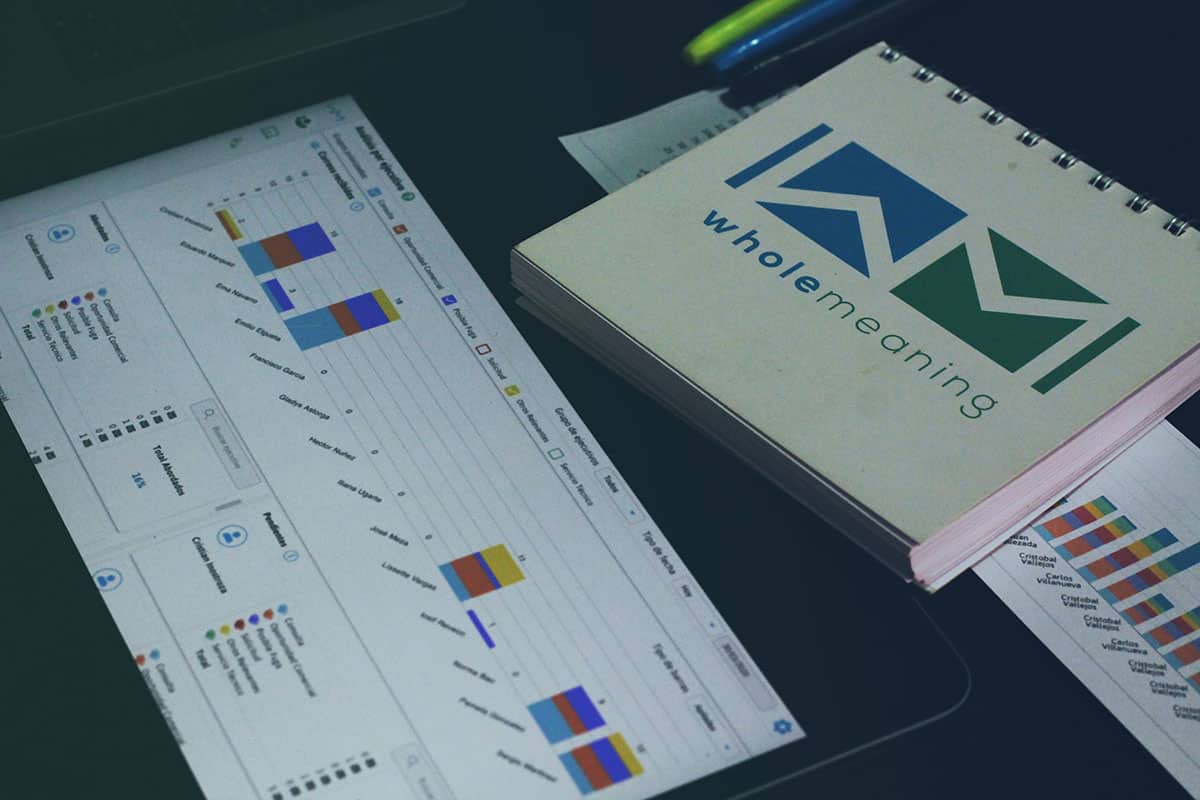 ¡Wholemeaning te presenta el panel “Análisis de flujo de entrada y gestión ”!